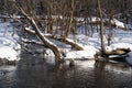 Felled tree trunks covered with snow on the bank of a forest river, water stream, snow and bare trees, background Royalty Free Stock Photo