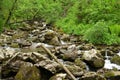 Felled tree trunks and large stones in the bed of a swift stream flowing down from the mountains through the summer forest Royalty Free Stock Photo