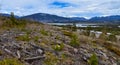 Felled trees in the hills near a mountain lake against the backdrop of snow-capped mountains in Utah, US Royalty Free Stock Photo