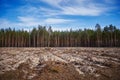 Felling of the forrest