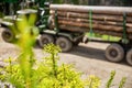 Felling trees,cut trees, fir, fir tree, forest cutting area, forest protection concept. Lumberjack with modern harvester Royalty Free Stock Photo