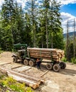 Felling of trees,cut trees , forest cutting area, forest protection concept. Lumberjack with modern harvester working in Royalty Free Stock Photo