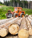 Felling of trees,cut trees, forest cutting area, forest protection concept. Wheel-mounted loader, timber grab. Forestry Royalty Free Stock Photo