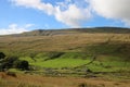 Fellside pasture on Whernside, North Yorkshire Royalty Free Stock Photo