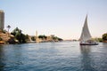 Felluca sailing down the Nile River Royalty Free Stock Photo