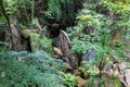 Felsenmeer in Hemer with huge rock formations in the forest Royalty Free Stock Photo