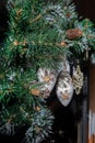 Felt icicles with snowflakes and buttons on green pine branches with snow and a pine cone. Royalty Free Stock Photo