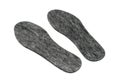 Felt insoles for shoes