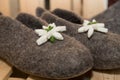 Felt shoes with Edelweiss