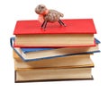 Felt soft toy lamb on stack of books Royalty Free Stock Photo