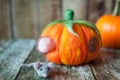 Felted pumpkin house for a cute plush mouse