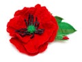 Felting poppy Royalty Free Stock Photo