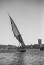 Felucca Boat in Egypt Black and White