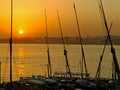 Felucca boats at the harbor at sunset, Luxor