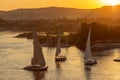 Felucca boats on Nile river at sunset Royalty Free Stock Photo