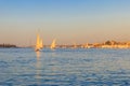 Felucca boats sailing on Nile river in Luxor, Egypt. Traditional Egyptian sailing boats