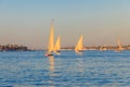 Felucca boats sailing on the Nile river in Luxor, Egypt. Traditional Egyptian sailing boats Royalty Free Stock Photo