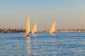 Felucca boats sailing on Nile river in Luxor, Egypt. Traditional Egyptian sailing boats