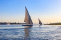 Felucca boats sailing on the Nile river in Luxor, Egypt. Traditional Egyptian sailing boats Royalty Free Stock Photo