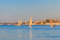 Felucca boats sailing on the Nile river in Luxor, Egypt. Traditional Egyptian sailing boats Royalty Free Stock Photo