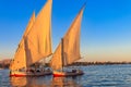 Felucca boats sailing on the Nile river in Luxor, Egypt. Traditional Egyptian sailing boats Royalty Free Stock Photo