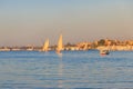 Felucca boats sailing on the Nile river in Luxor, Egypt. Traditional Egyptian sailing boats Royalty Free Stock Photo