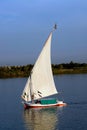 Felucca with white sails, sailing along the Nile River - Egypt Royalty Free Stock Photo