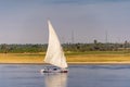 Felucca egyptian boat traversing the Nile near Aswan Royalty Free Stock Photo