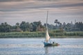 A Traditional Felucca Sailing on the Nile River Royalty Free Stock Photo