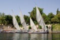 Felucca rides on the banks of the Nile River , Egypt, Africa