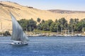 Felucca river boat on the Nile, with the Sahara behind in Aswa Royalty Free Stock Photo