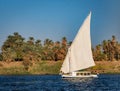 felucca sailboat along the Nile river