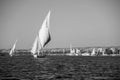 Felucca Sailboats on Nile River in Black and White Royalty Free Stock Photo