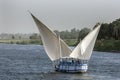 A felucca sails along the River Nile near Esna in central Egypt in the late afternoon. Royalty Free Stock Photo