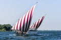 A felucca sails up the River Nile towards Kom Ombo. Egypt. Royalty Free Stock Photo