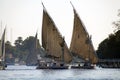 Feluccas along the Nile in Aswan, Egypt Royalty Free Stock Photo