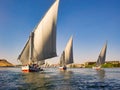 Feluccas on the Nile River