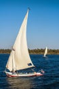 Feluccas are the traditional sailing craft of the Nile