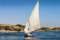 Feluccas are the traditional sailing craft of the Nile