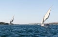 Feluka sailing on Nile river. Egypt Royalty Free Stock Photo