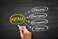 FEMA - Federal Emergency Management Agency acronym, concept on blackboard