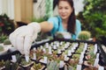 Femal agriculturist sitting among small plant and adding name tag on mini cactus in small pot for classify various kinds of family