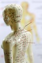 Acupuncture model Royalty Free Stock Photo