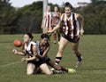 Female AFL players, Sydney