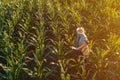 Female agronomist advising corn farmer in crop field