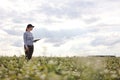 a female agronomist with a tablet checks the growth of a field with buckwheat flowers. the woman examines the field and Royalty Free Stock Photo