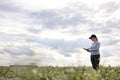 a female agronomist with a tablet checks the growth of a field with buckwheat flowers. the woman examines the field and Royalty Free Stock Photo