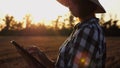 Female agronomist using digital tablet at wheat meadow at dusk. Farmer monitoring harvest at barley field at sunset Royalty Free Stock Photo