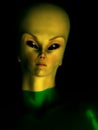 Female Alien Hybrid Royalty Free Stock Photo