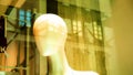 Female or androgynous mannequin head